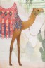 Camel Printed Orna