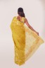 Floral Embroidered Cotton Sari