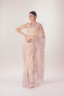 Dragonfly Embroidered Half Silk Sari