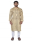 Printed Cotton Panjabi